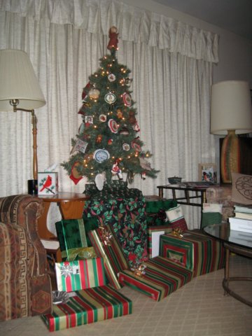 ourchristmastree.jpg
