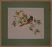 Crossed Wing Collection - Baltimore Orioles from Backyard Favorites.