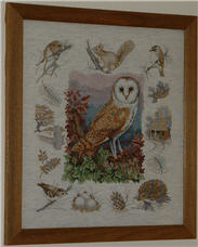 Owl & Woodland Wildlife from Anchor Premier Collection.