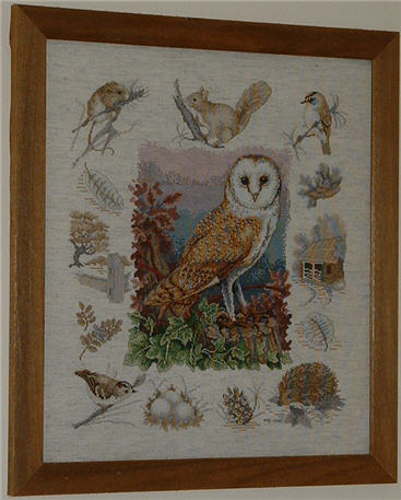Owl and Woodland Wildlife Cross Stitch Picture.