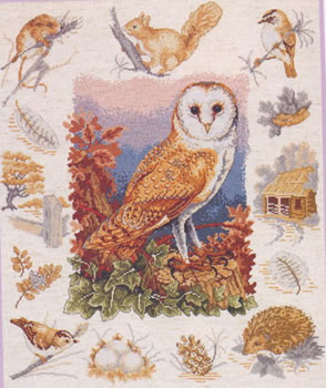 Pictue of Owl & Woodland Wildlife.