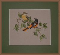 Baltimore Orioles by Crossed Wing Collection.