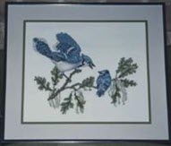 Blue Jays and Baby by Crossed WIng Collection.