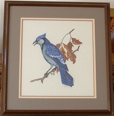 Blue Jay Counted Cross Stitch.