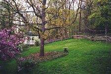Our back yard.