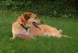 Katie at play.
