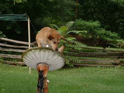 Katie Cooling Off.