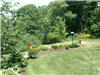 photo of yard