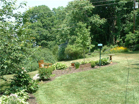 photo of yard