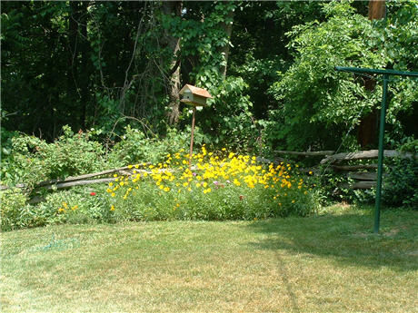 photo of yard