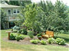 photo of yard