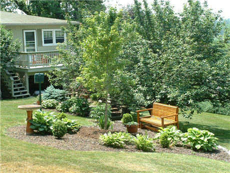 photo of yard