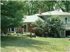 photo of yard
