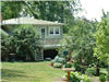 photo of yard