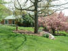 View of garden project before the planting.