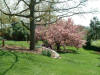 View of the garden project before the planting.