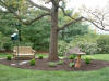 View of garden after the planting and glider added.