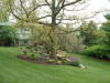 View of garden after plantings.