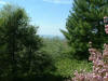 View from our deck.